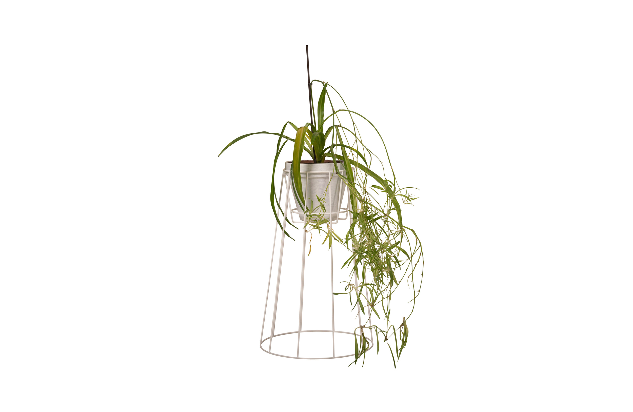 华体会(中国) - 附件|花器|办公家具|设计师家具|西布莉植物架