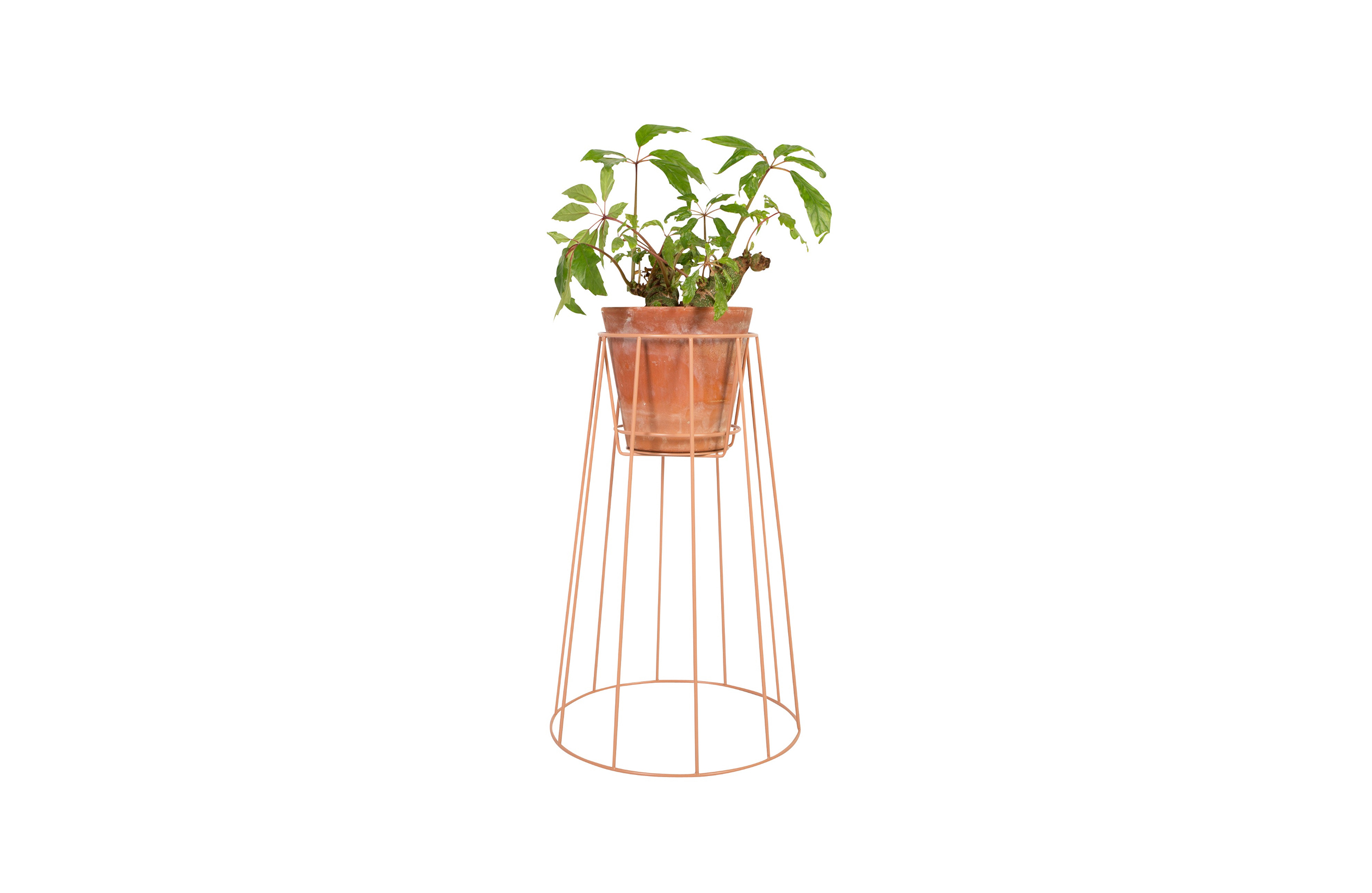华体会(中国) - 附件|花器|办公家具|设计师家具|西布莉植物架