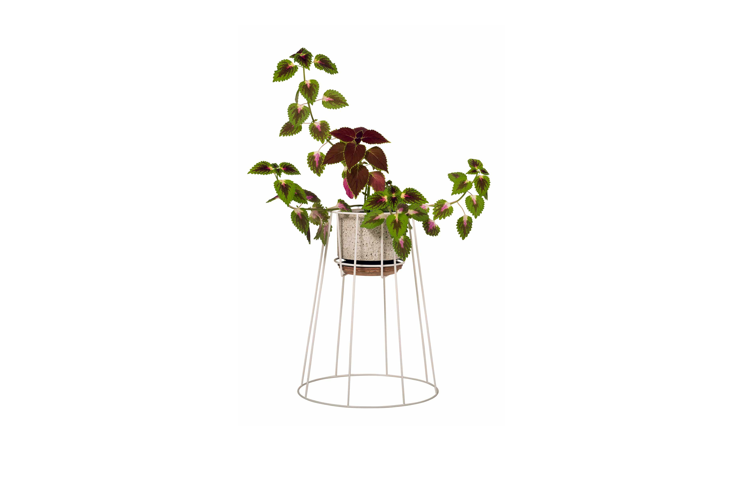 华体会(中国) - 附件|花器|办公家具|设计师家具|西布莉植物架