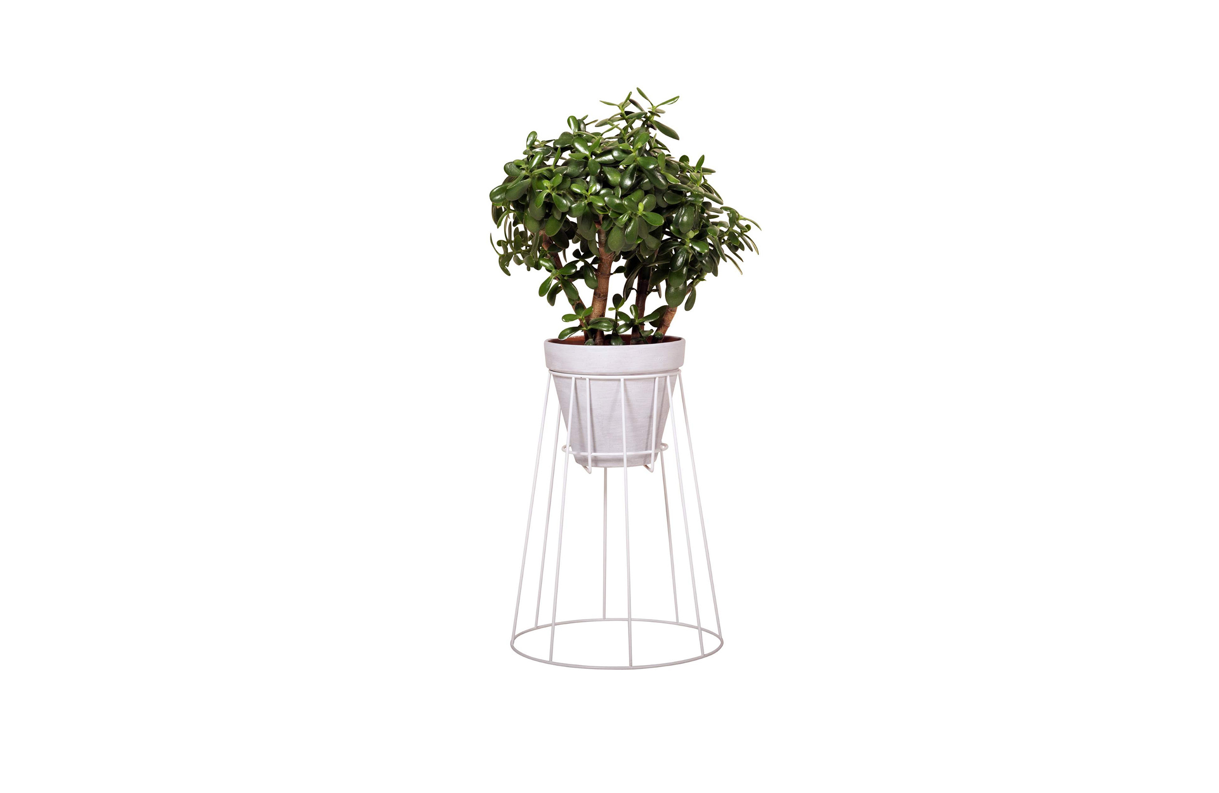 华体会(中国) - 附件|花器|办公家具|设计师家具|西布莉植物架