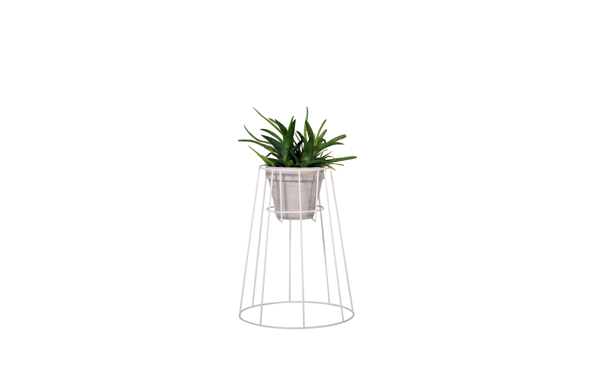华体会(中国) - 附件|花器|办公家具|设计师家具|西布莉植物架