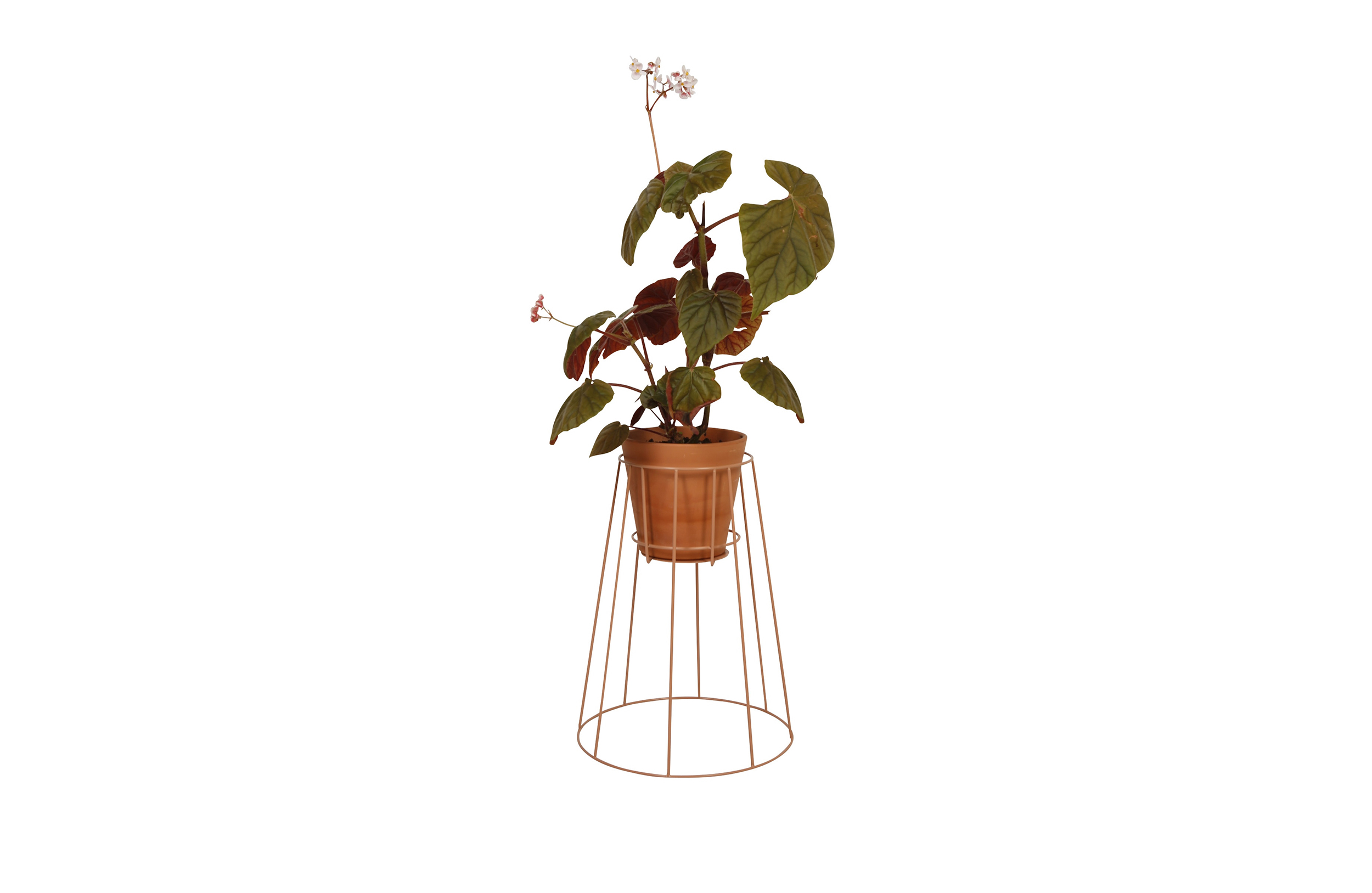 华体会(中国) - 附件|花器|办公家具|设计师家具|西布莉植物架