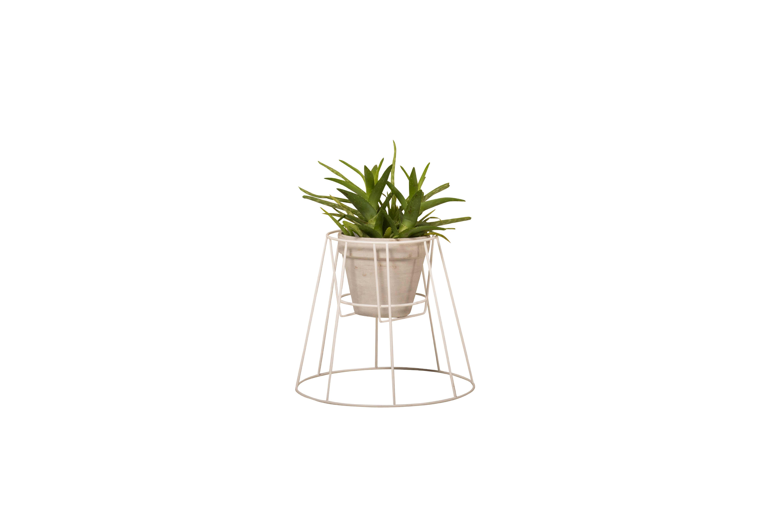华体会(中国) - 附件|花器|办公家具|设计师家具|西布莉植物架