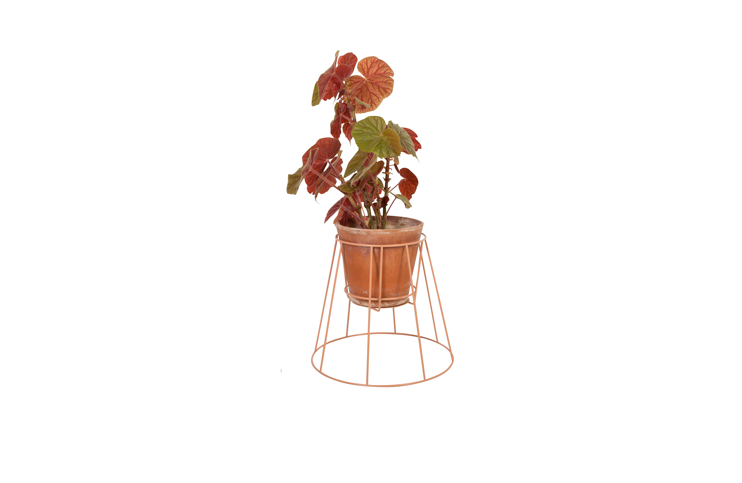 华体会(中国) - 附件|花器|办公家具|设计师家具|西布莉植物架