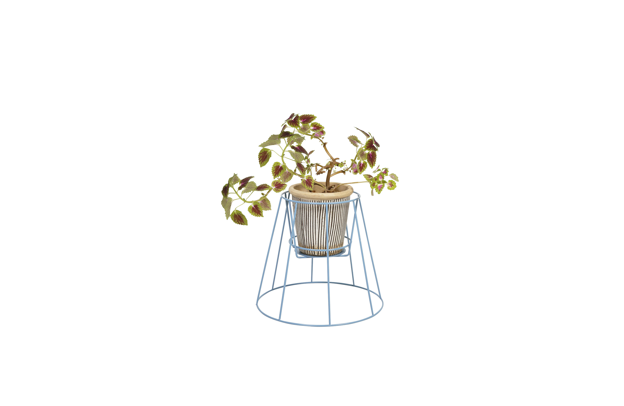 华体会(中国) - 附件|花器|办公家具|设计师家具|西布莉植物架