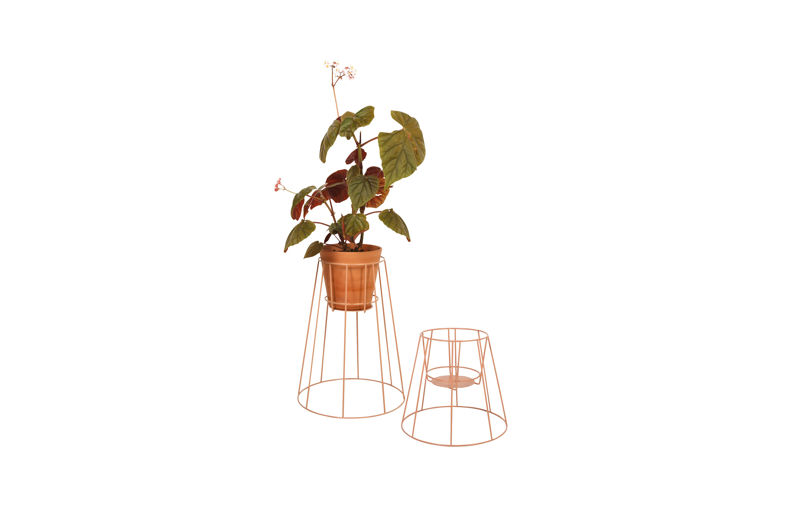 华体会(中国) - 附件|花器|办公家具|设计师家具|西布莉植物架