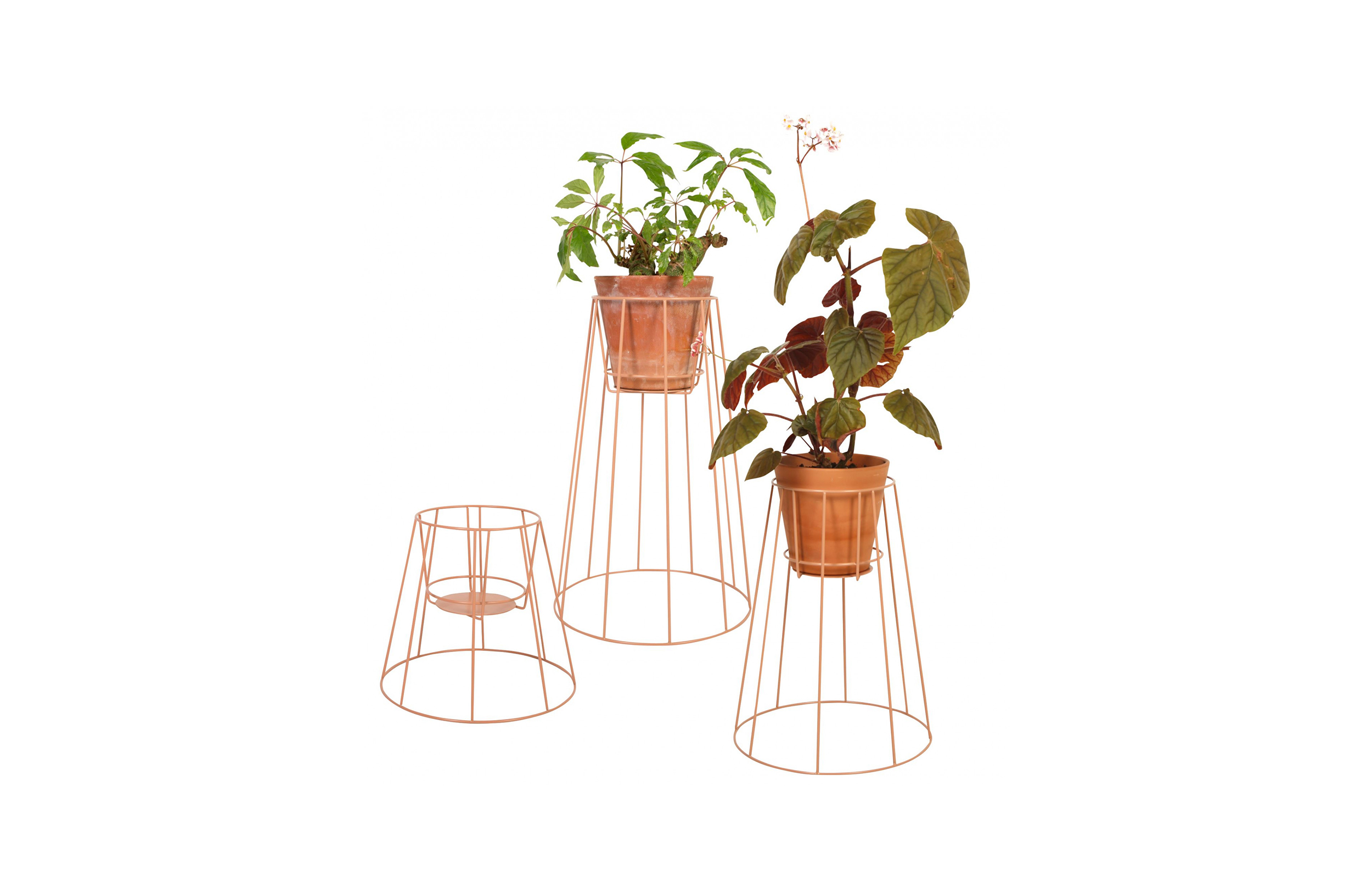 华体会(中国) - 附件|花器|办公家具|设计师家具|西布莉植物架