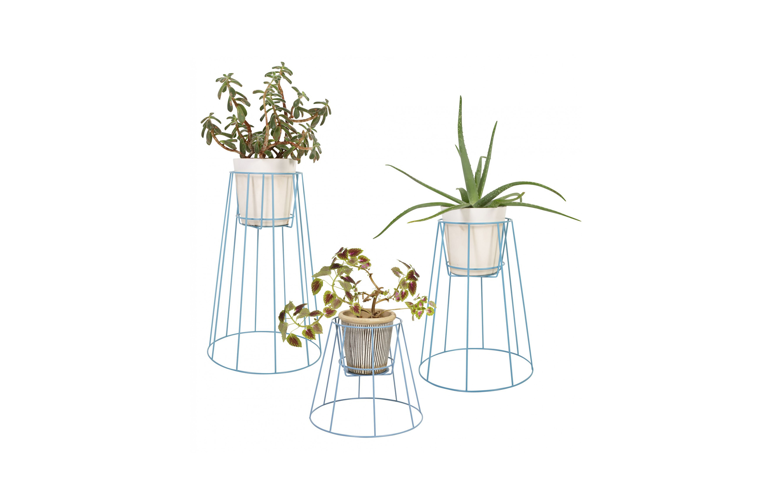 华体会(中国) - 附件|花器|办公家具|设计师家具|西布莉植物架