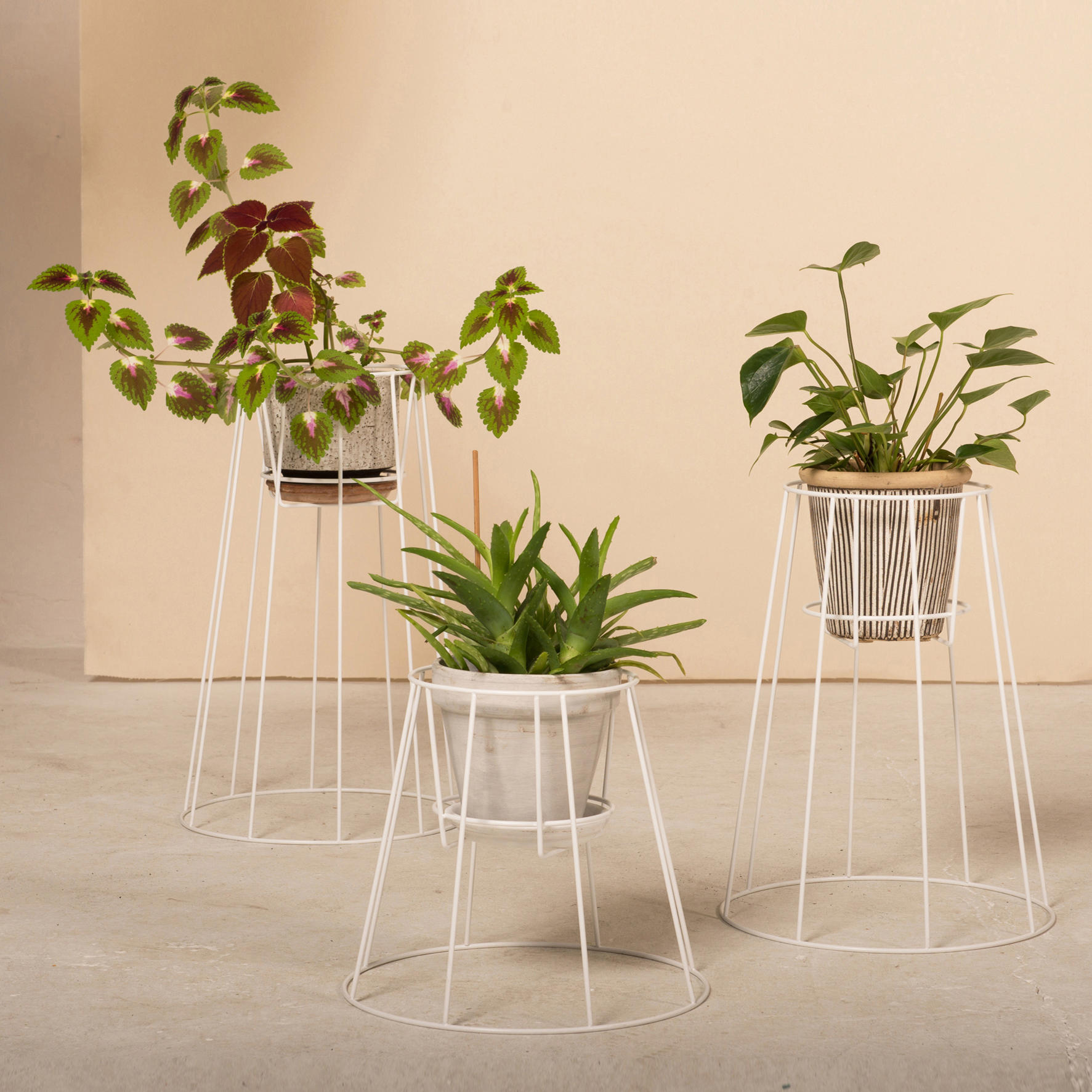 华体会(中国) - 附件|花器|办公家具|设计师家具|西布莉植物架