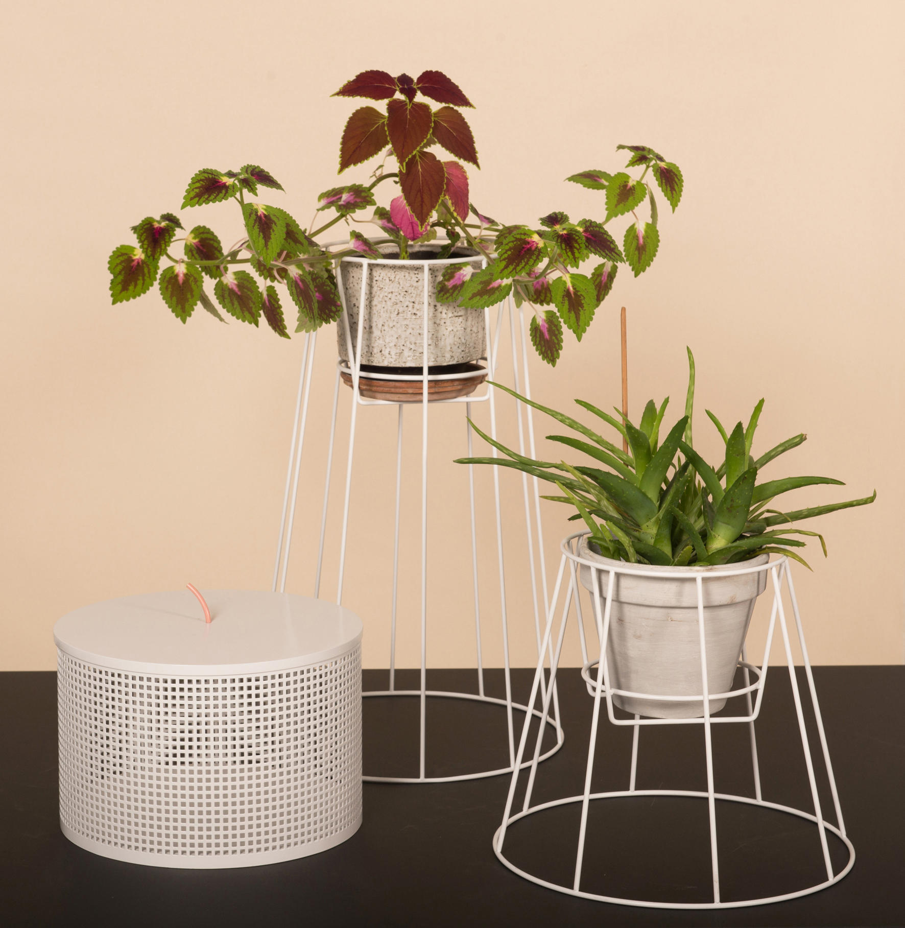 华体会(中国) - 附件|花器|办公家具|设计师家具|西布莉植物架