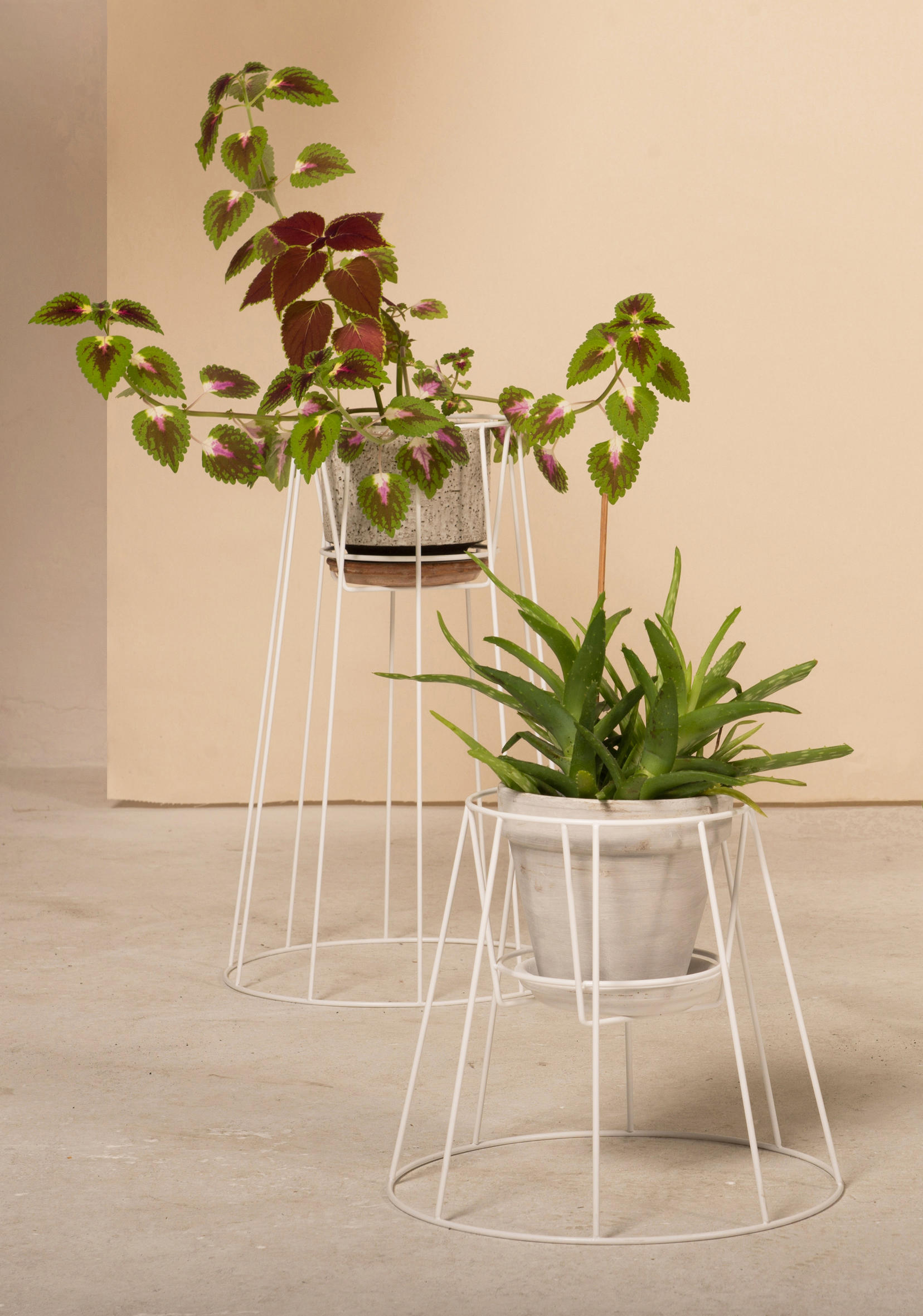 华体会(中国) - 附件|花器|办公家具|设计师家具|西布莉植物架