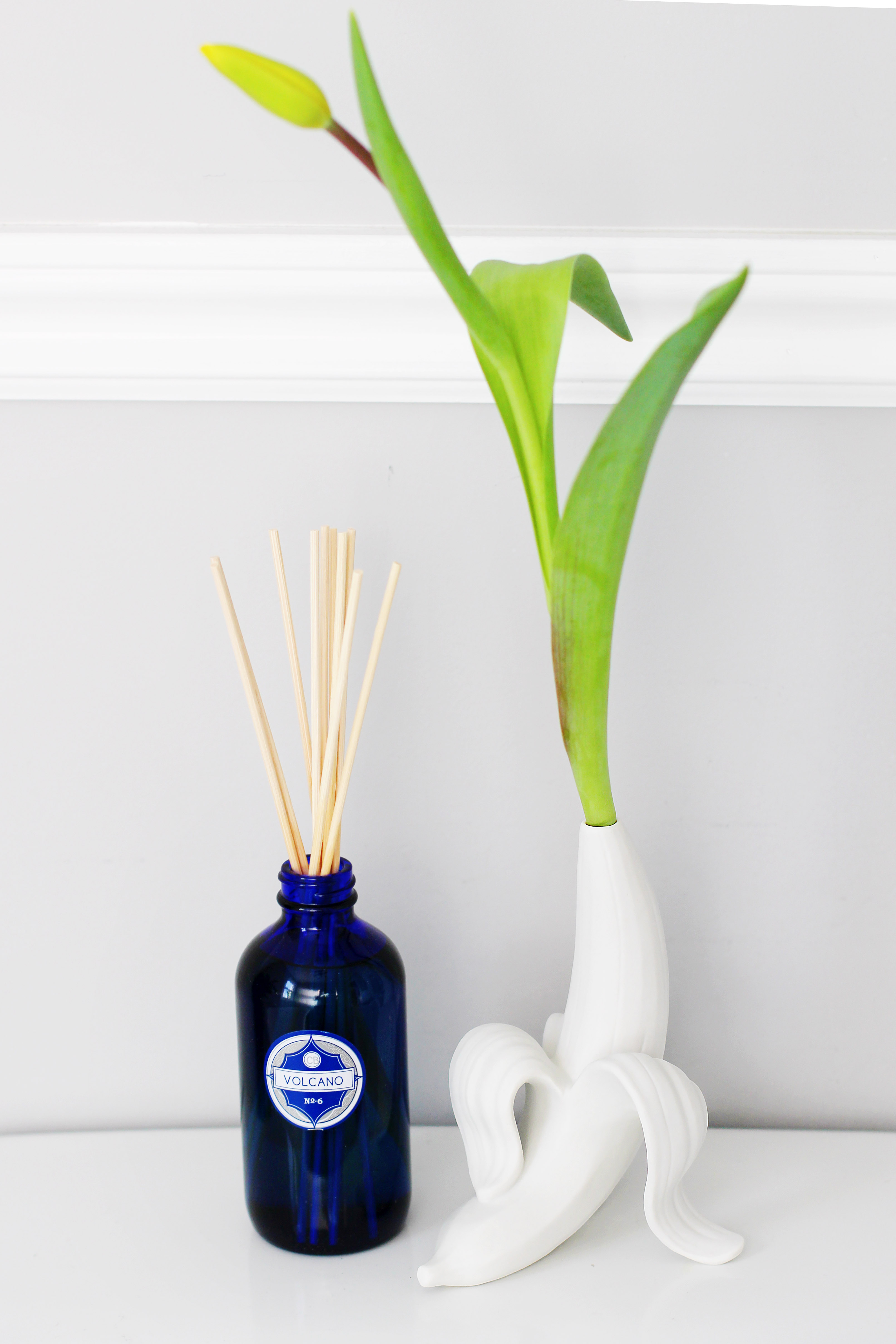 华体会(中国) - 附件|花器|办公家具|设计师家具|香蕉芽花瓶