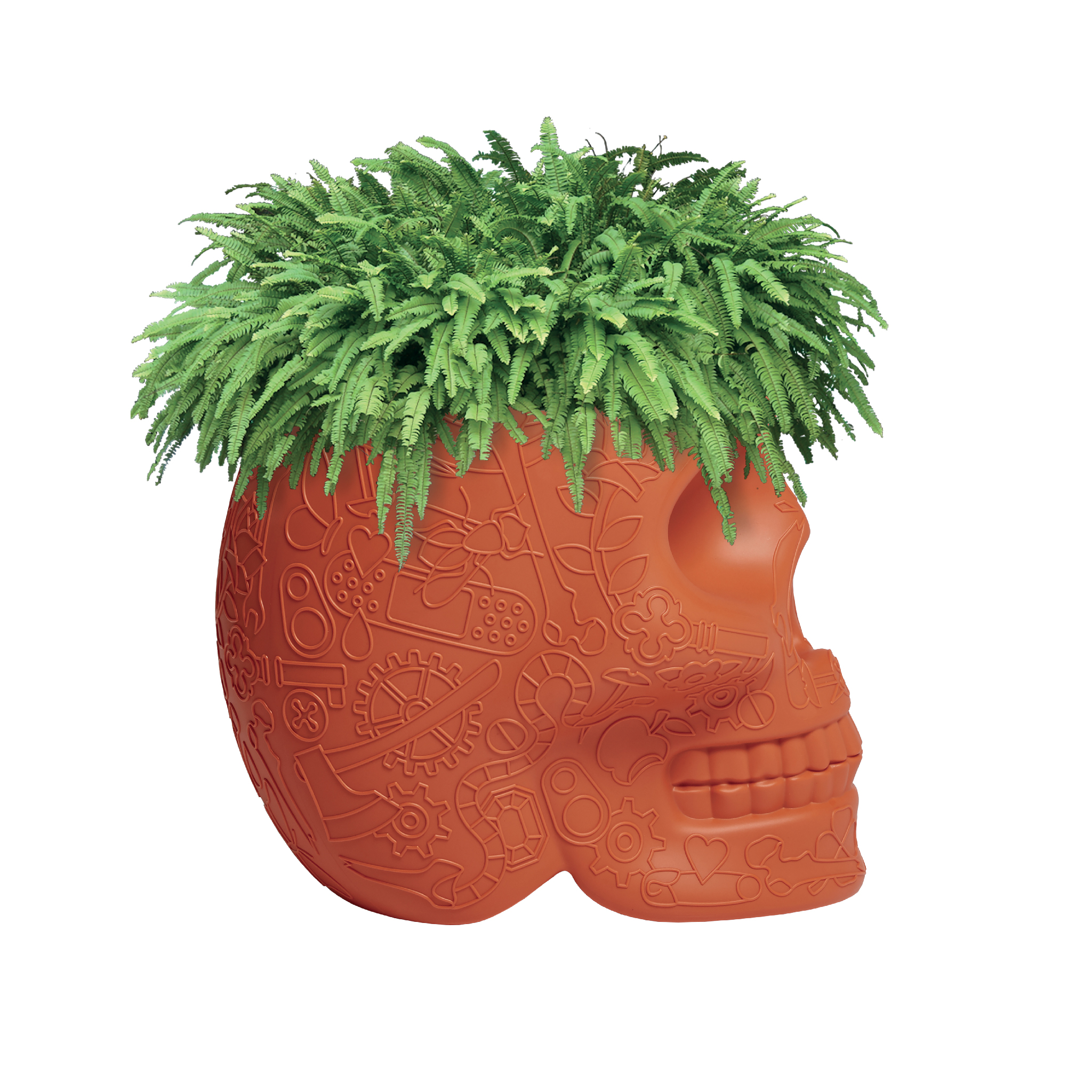 华体会(中国) - 附件|花器|办公家具|设计师家具|墨西哥花盆