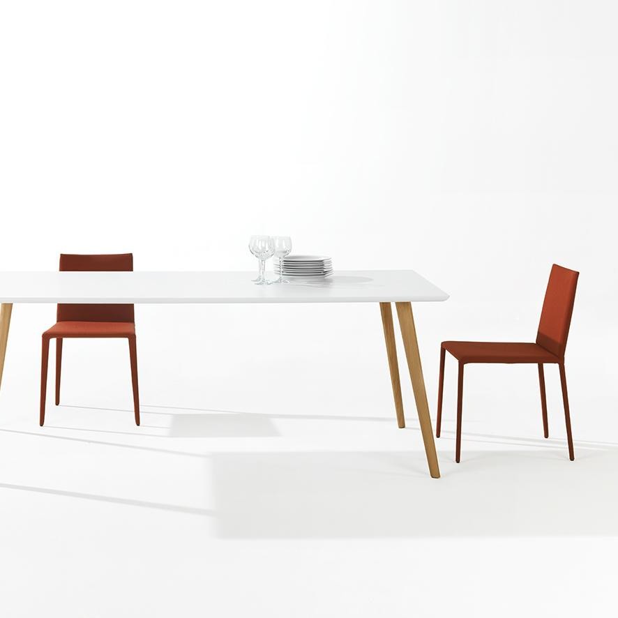 华体会(中国) - 坐具|餐椅|办公家具|设计师家具|Norma 餐椅/洽谈椅