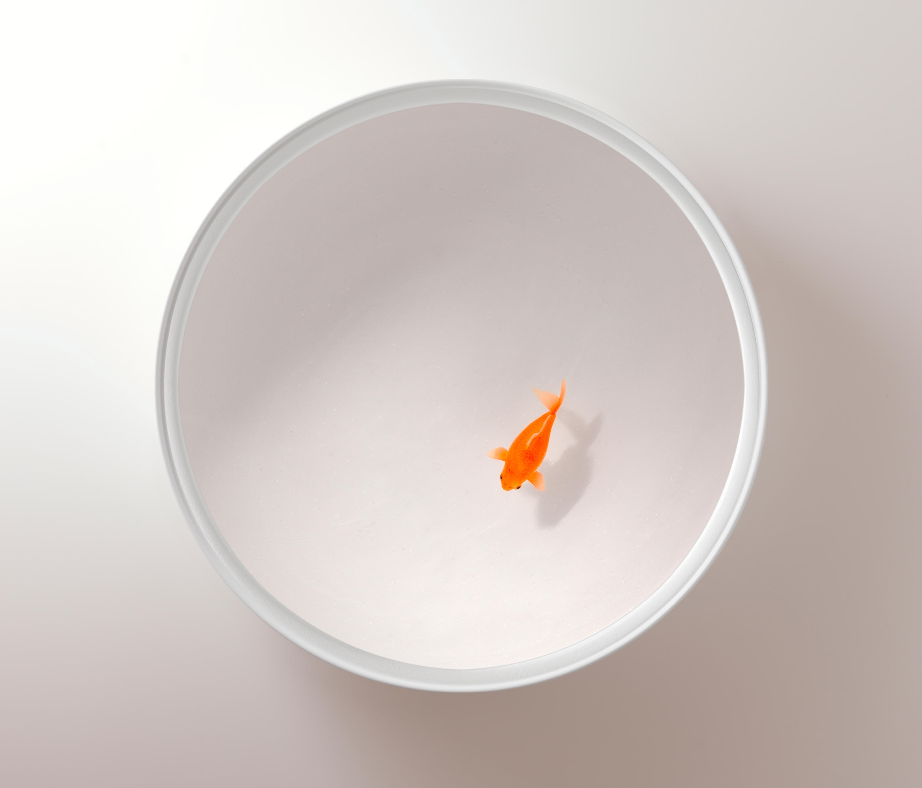 华体会(中国) - 桌几|茶几/边几|办公家具|设计师家具|Up in the Air 茶几/角几