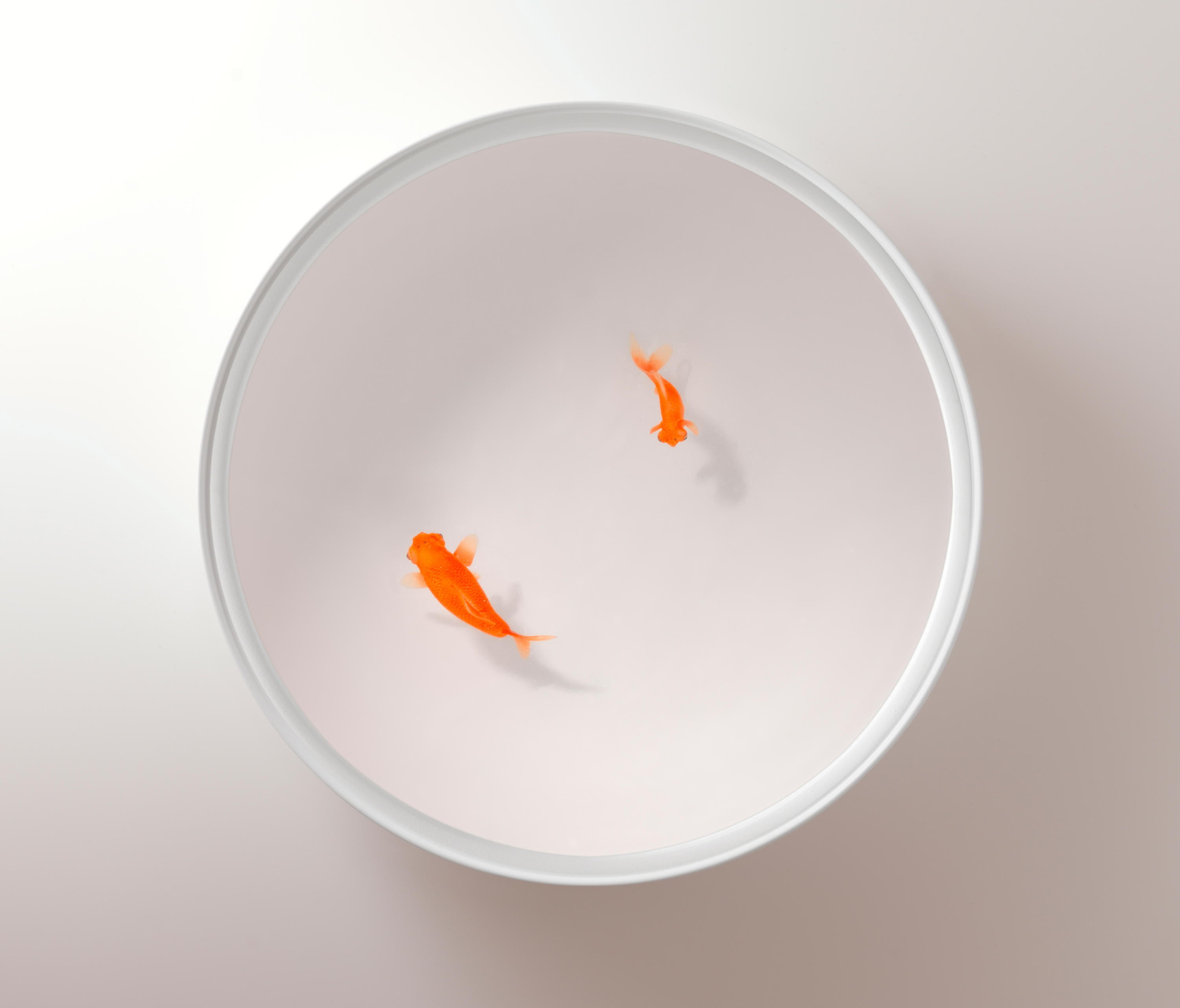 华体会(中国) - 桌几|茶几/边几|办公家具|设计师家具|Up in the Air 茶几/角几