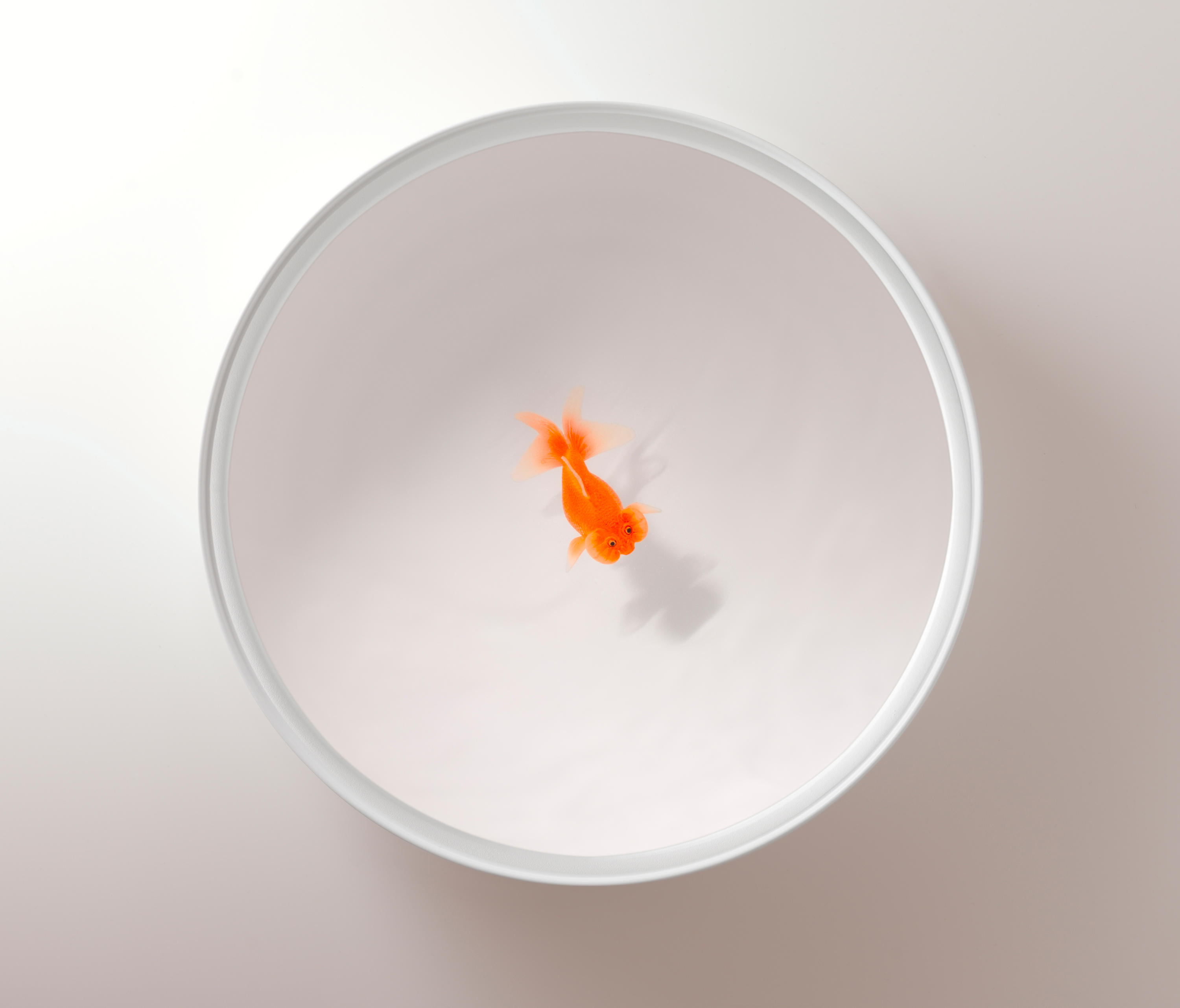 华体会(中国) - 桌几|茶几/边几|办公家具|设计师家具|Up in the Air 茶几/角几