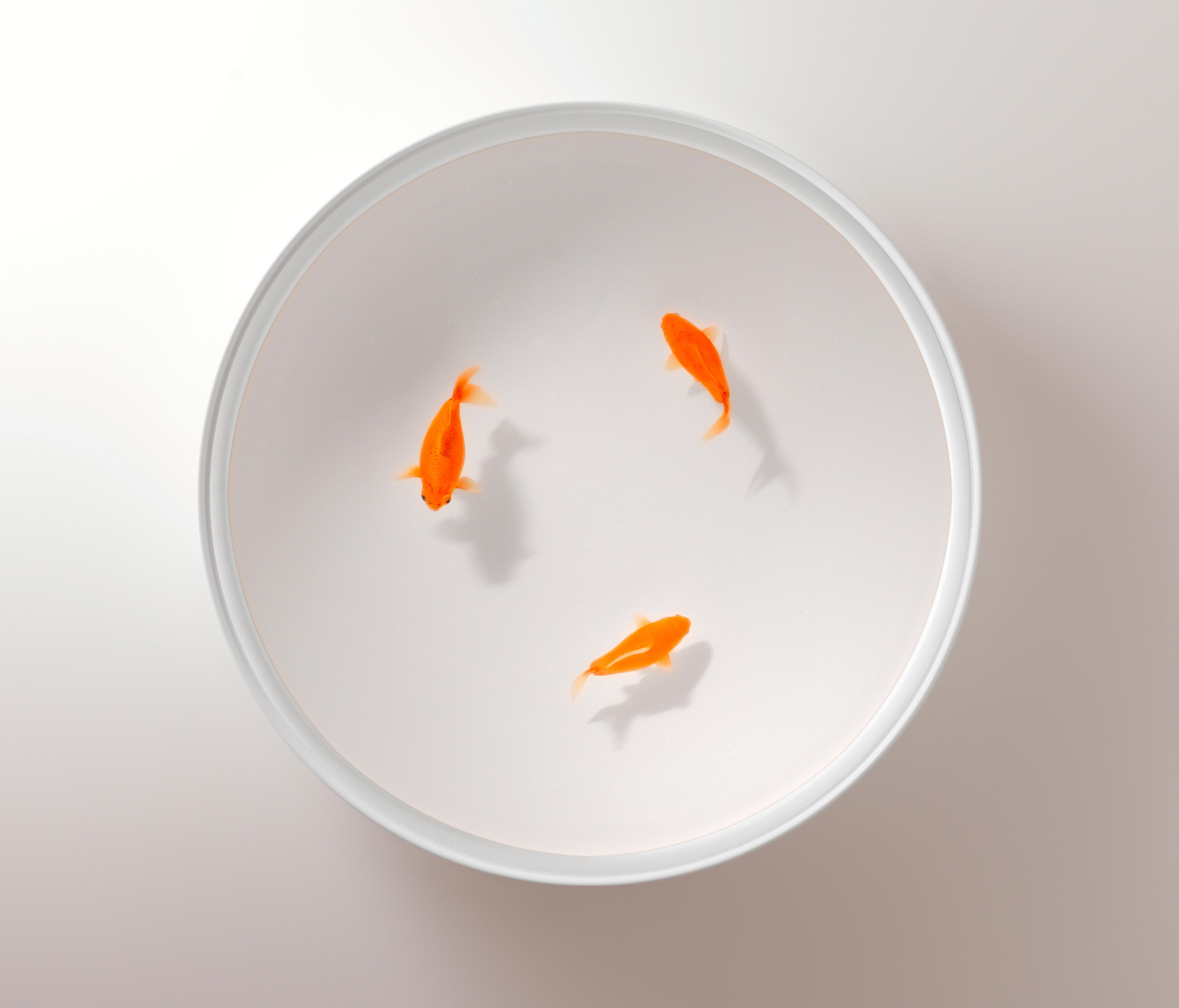 华体会(中国) - 桌几|茶几/边几|办公家具|设计师家具|Up in the Air 茶几/角几