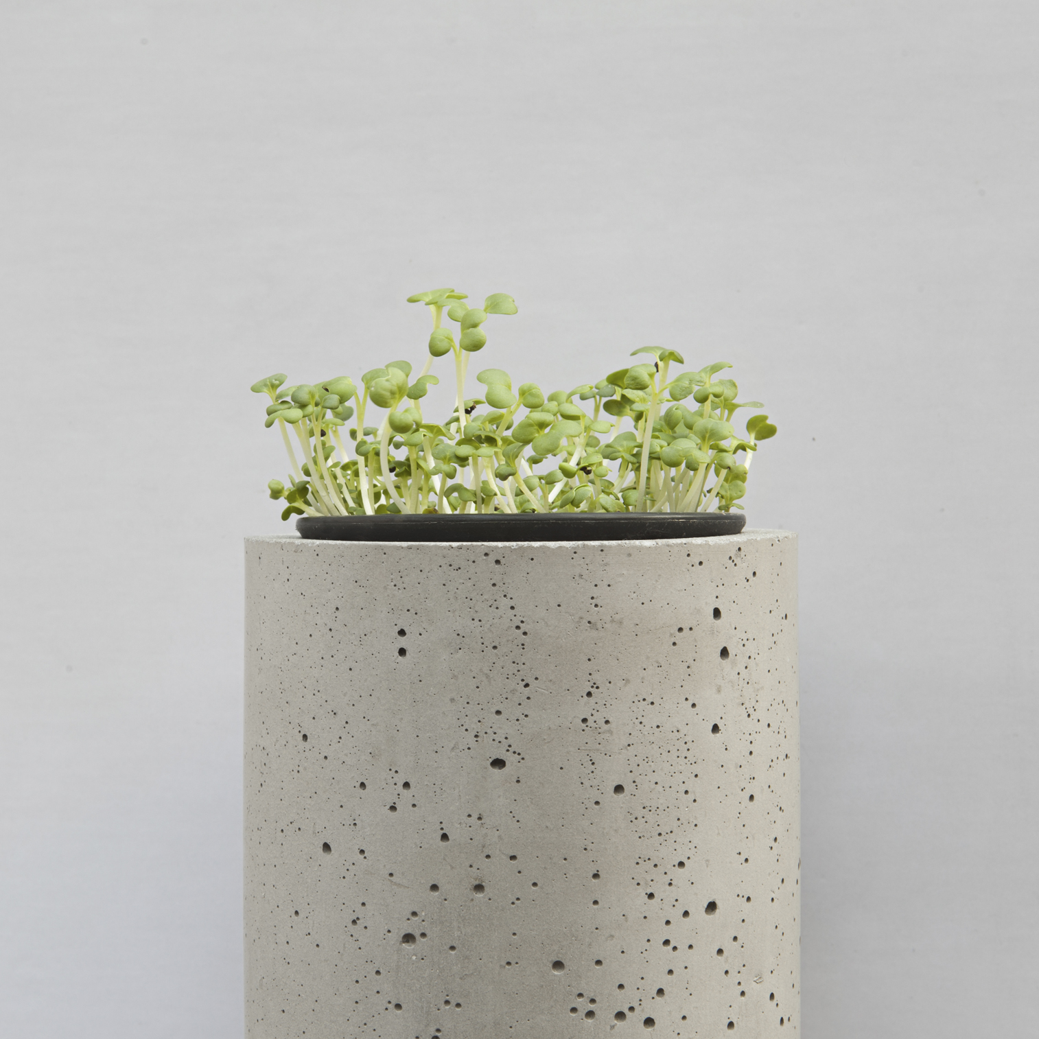 华体会(中国) - 附件|花器|办公家具|设计师家具|挂墙式花钵-杯