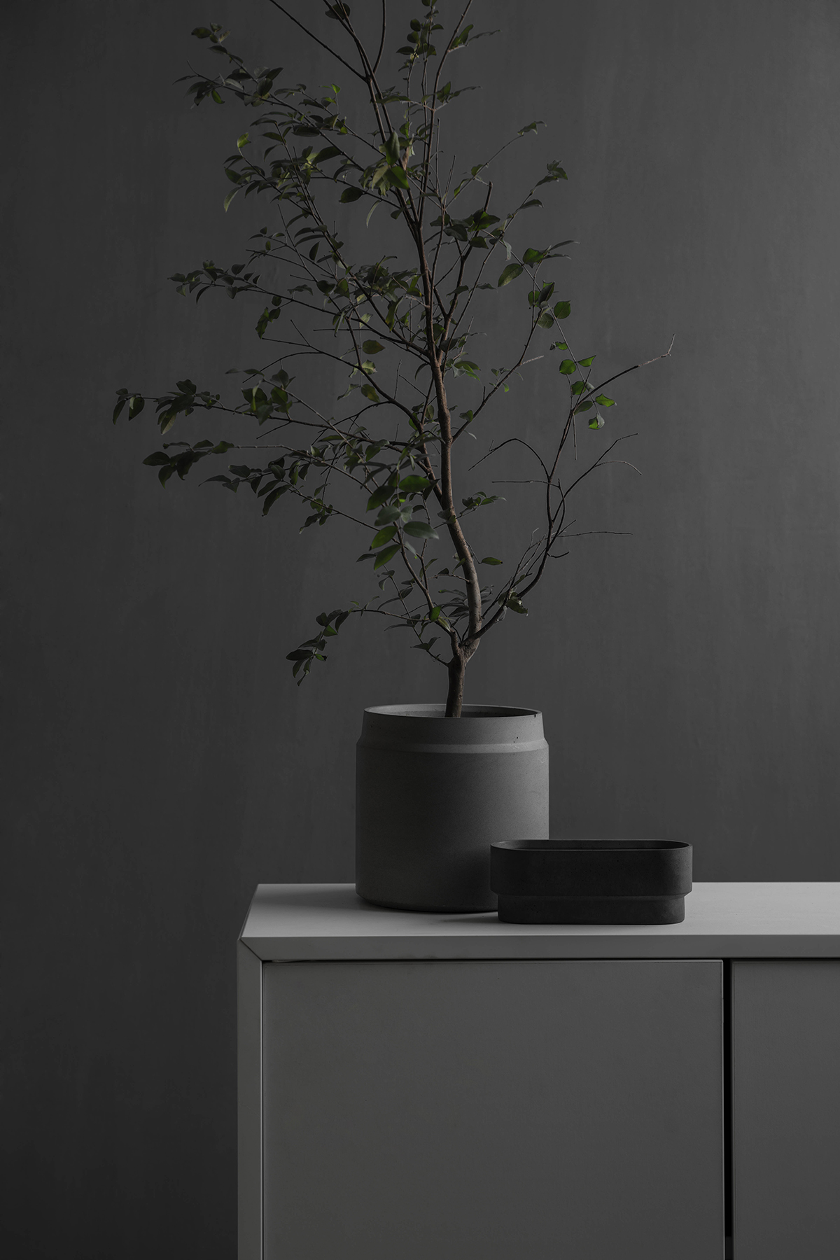 华体会(中国) - 附件|花器|办公家具|设计师家具|花钵-圆