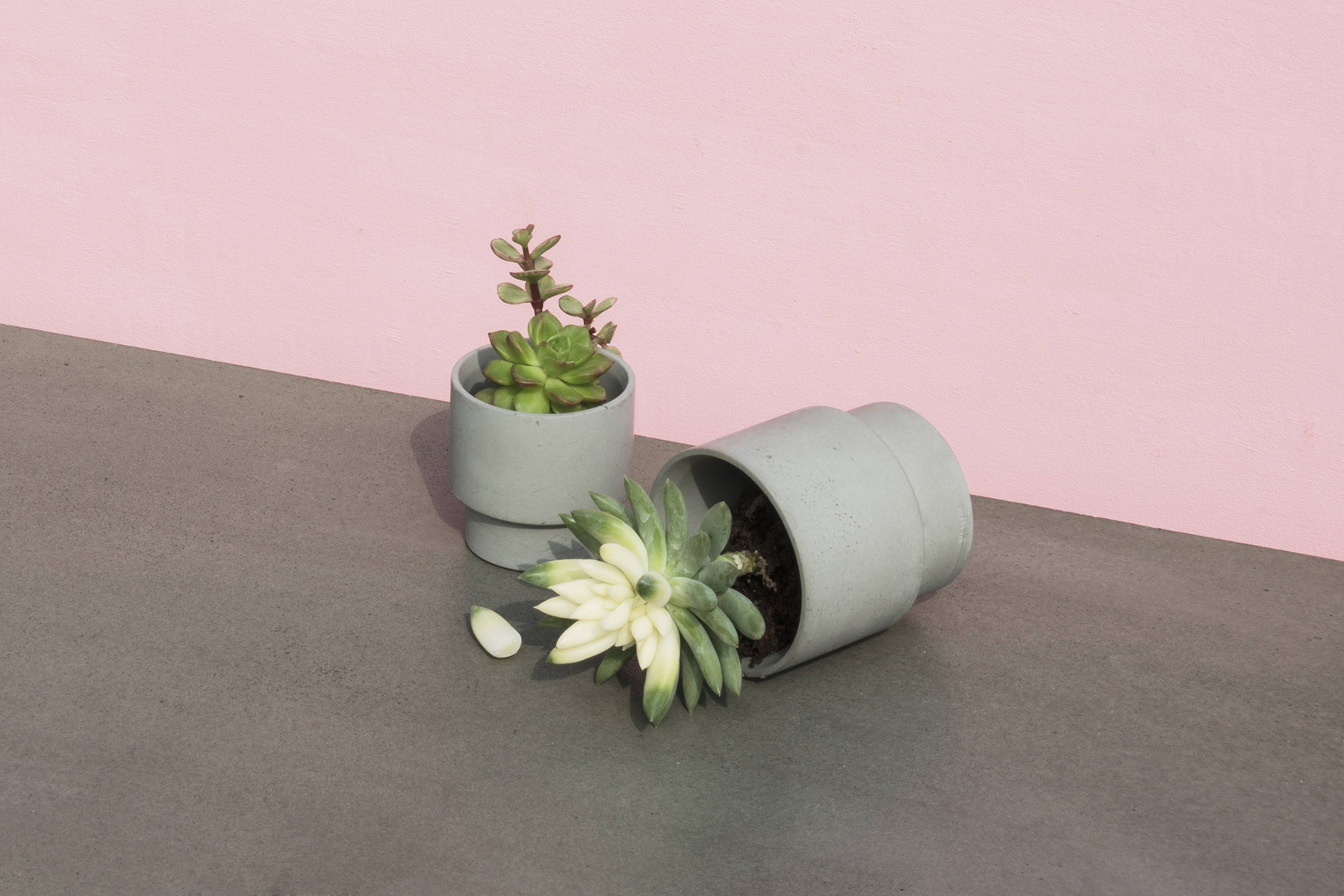 华体会(中国) - 附件|花器|办公家具|设计师家具|花钵/蜡烛台-息