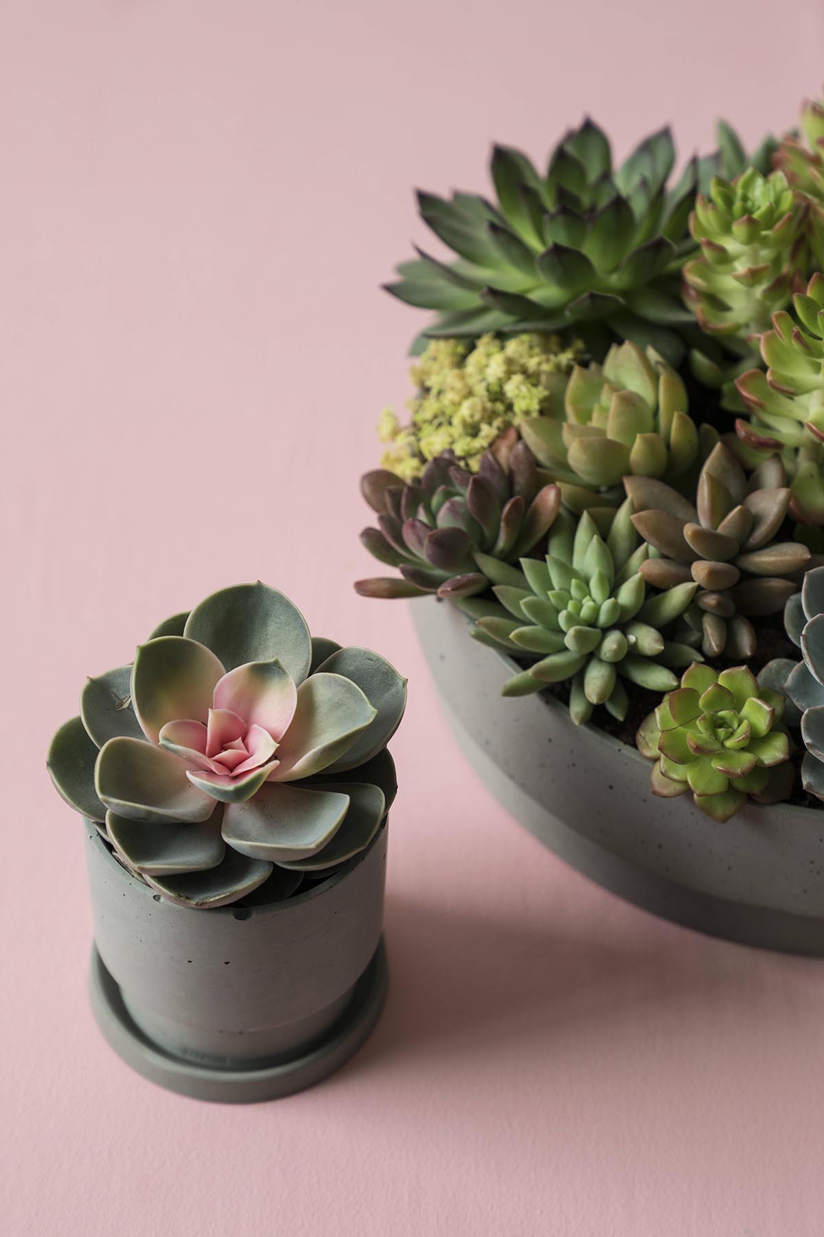 华体会(中国) - 附件|花器|办公家具|设计师家具|花钵/蜡烛台-息