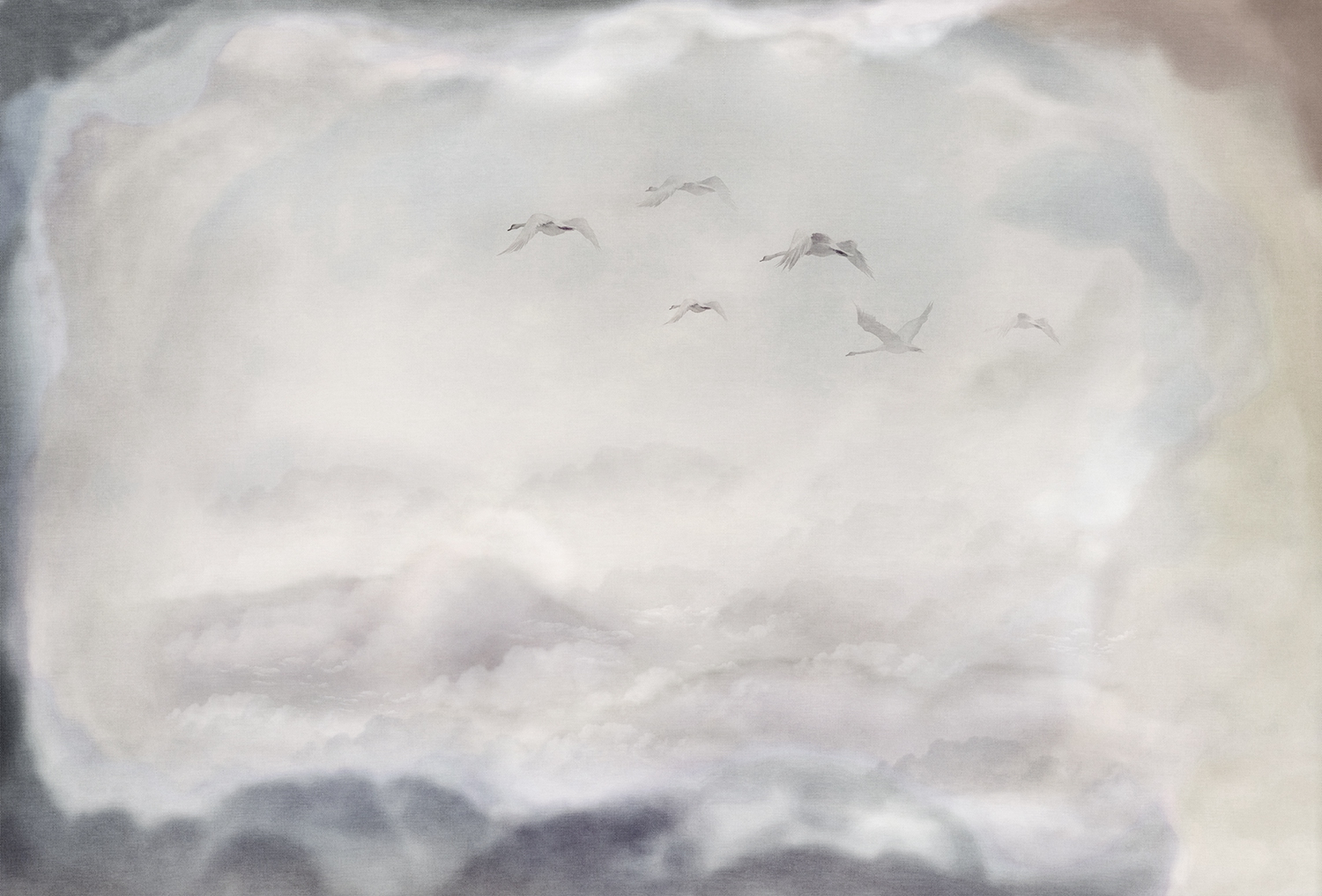 华体会(中国) - 附件|装饰画/墙饰|办公家具|设计师家具|候鸟-原创定制壁画