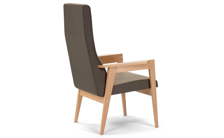 华体会(中国) - 坐具|休闲椅|办公家具|设计师家具|Danesa 扶手椅