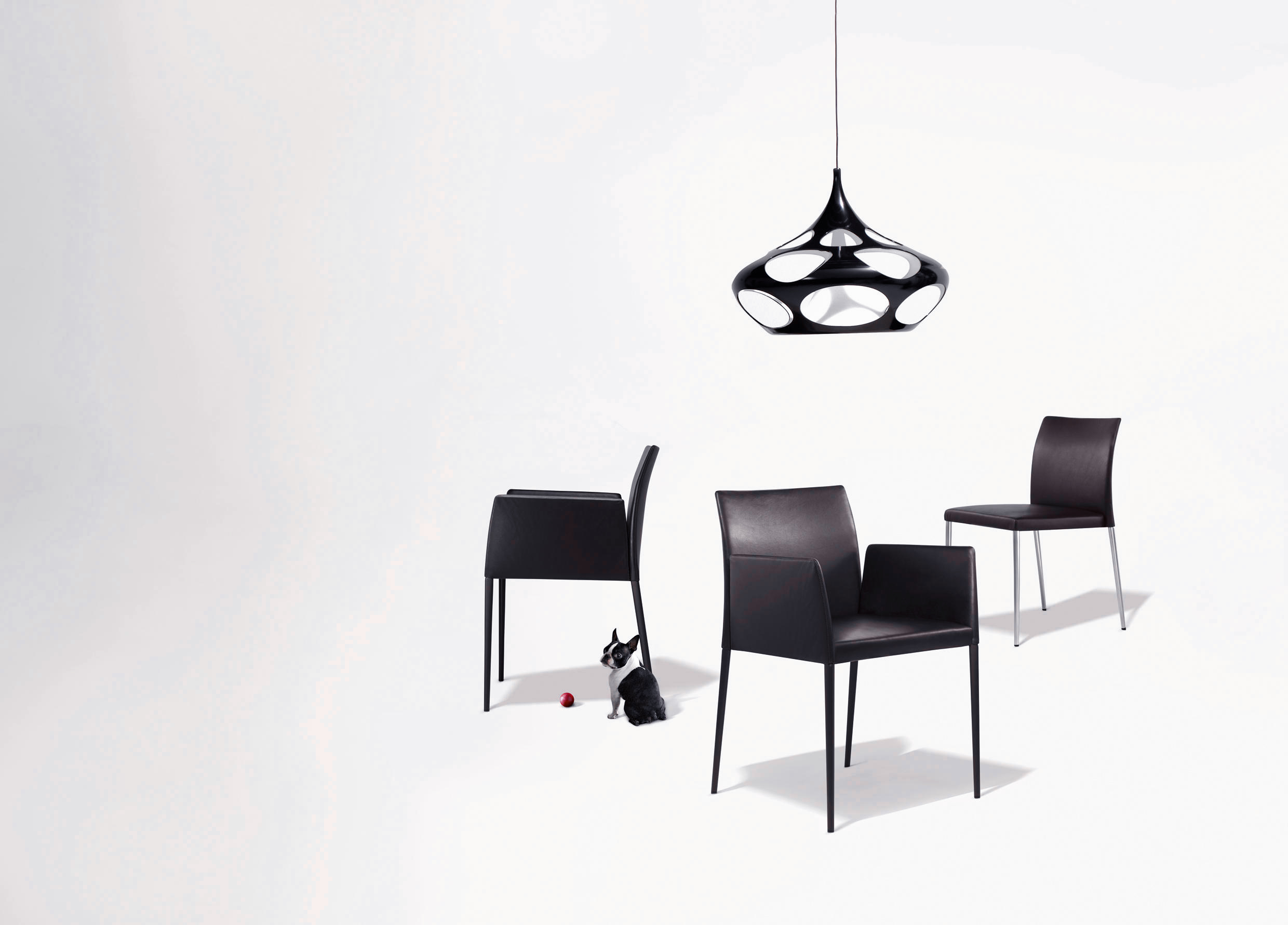 华体会(中国) - 坐具|餐椅|办公家具|设计师家具|迪恩餐椅