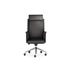 JASON EXECUTIVE CG-A1013-3